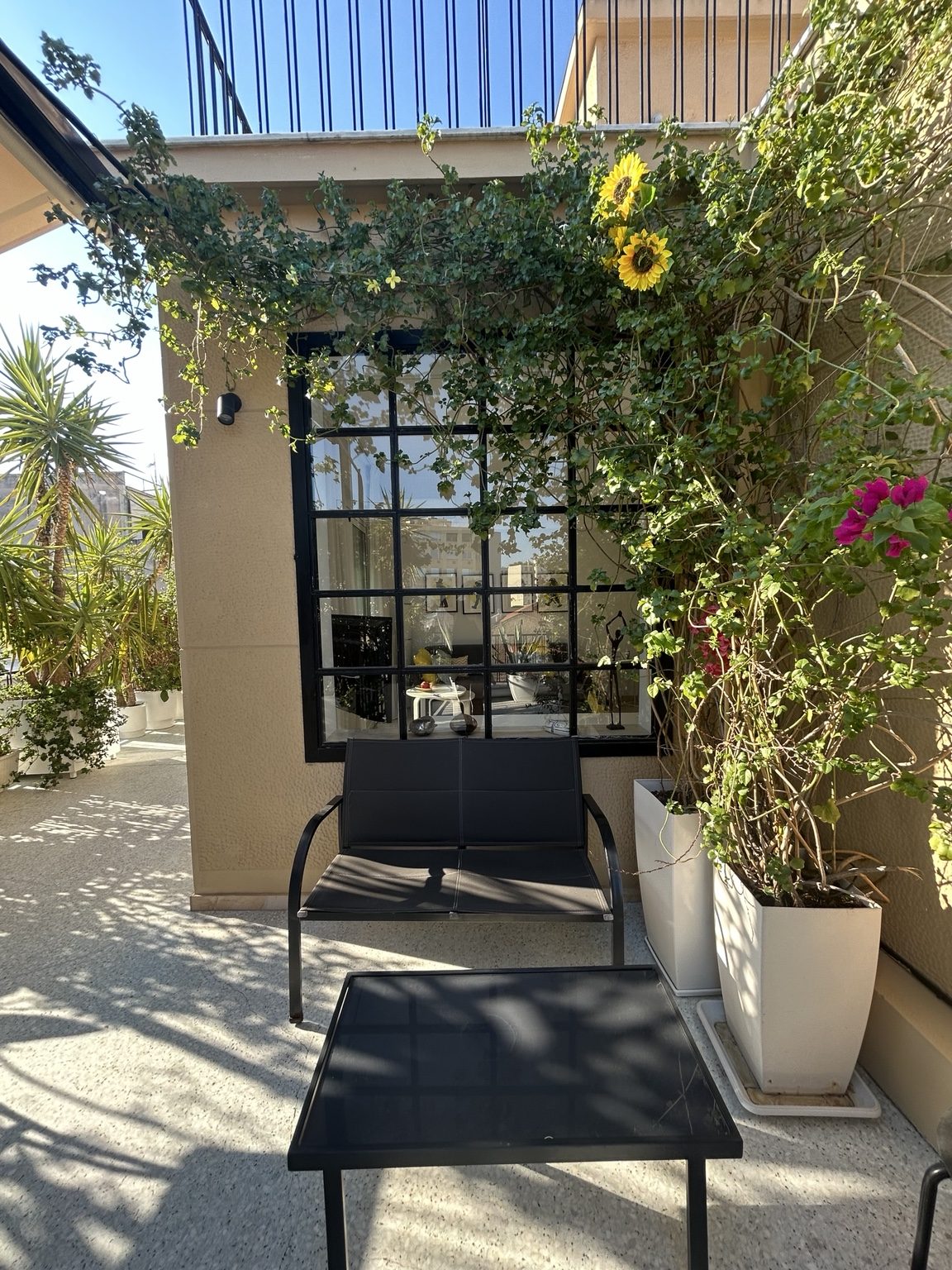 Sunny green terrace seating area