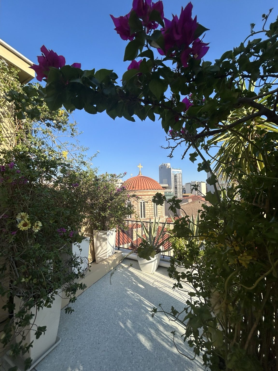 Bougainvillea framing the church dome view